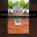 Weight loss drink | Chia seeds drink #weightloss #bellyfatloss #shorts