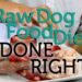 How To Do the Raw Dog Food Diet Right