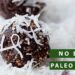 Paleo Coconut Energy Balls without Dates