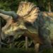 Triceratops | Lunch Time | Paleo animation