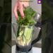 Fat-Burning Smoothie for Weight Loss