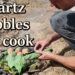 Quartz cobbles for earth ovens: paleo tech cooking.