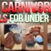 Cheap Carnivore Diet Meal Ideas (Everything under $5!)