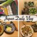 grocery shopping in japan and make ahead for 4 days of dinner